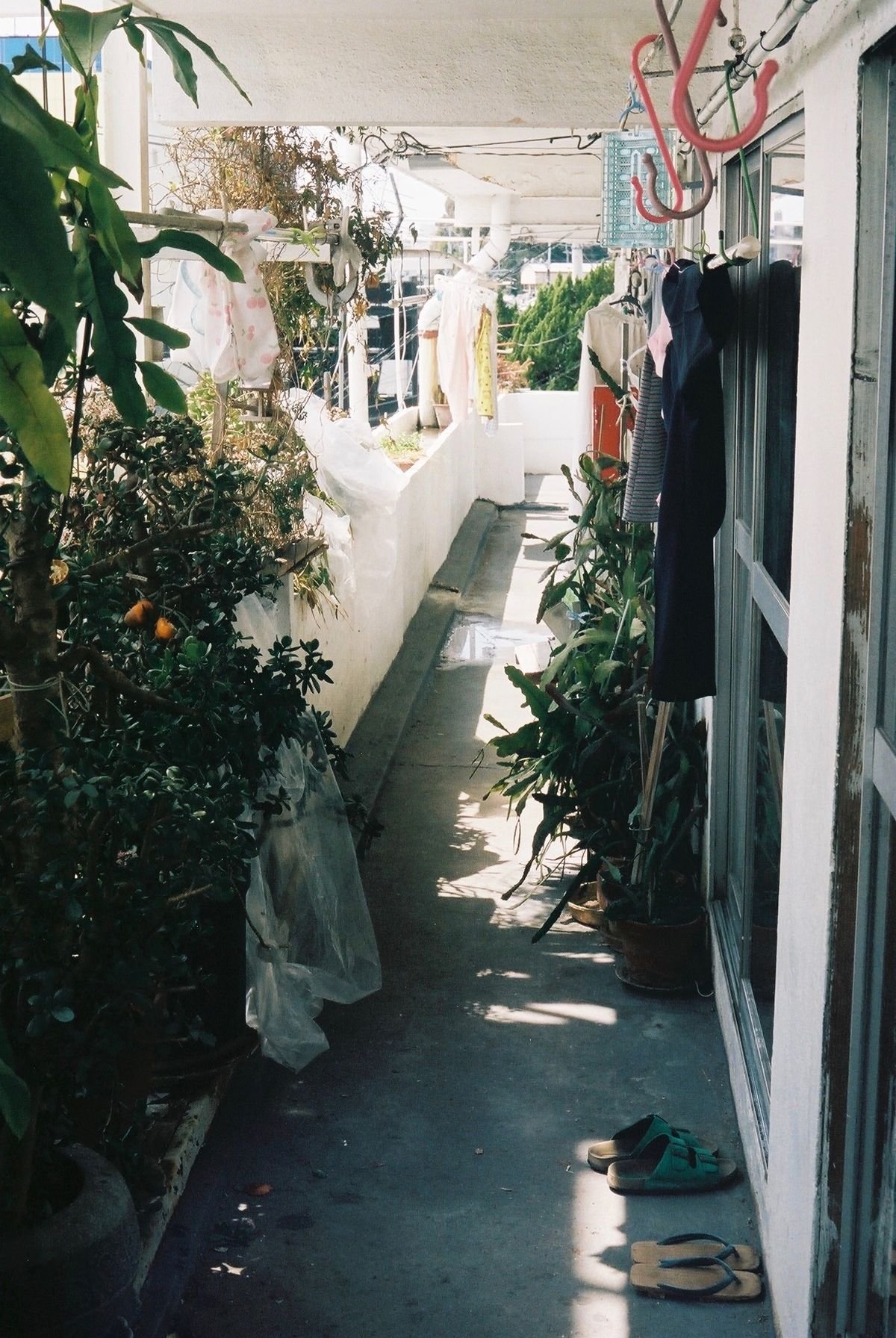 🏢 사와다 맨션(사와다 만숀) 이미지 5